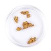 Image 1 : Lot of Gold Nuggets 3.32 grams Total Weight