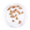 Image 1 : Lot of Gold Nuggets 3.48 grams Total Weight