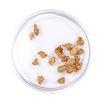 Image 2 : Lot of Gold Nuggets 3.48 grams Total Weight