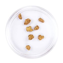 Lot of Gold Nuggets 2.18 grams Total Weight