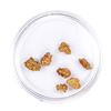 Image 2 : Lot of Gold Nuggets 2.97 grams Total Weight