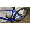 Image 3 : BLUE CCM BIKE