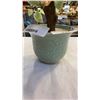 Image 2 : JADE TREE