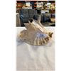 Image 2 : LARGE CONCH SHELL