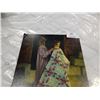 Image 2 : BRENT FLORY "AMERICA" SLEEP TIGHT GICLEE LEP 8/250 16 X 10 INCH