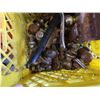 Image 3 : CRATE OF HITCH BALLS