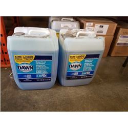 TWO 5 GALLON JUGS DAWN PROFESSIONAL MANUAL POT AND PAN DETERGENT