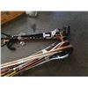 Image 7 : 2 BUNDLES OF CANES