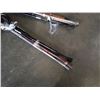 Image 2 : 2 BUNDLES OF CANES