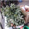 Image 3 : 3 PC PRELIT CHRISTMAS TREE WITH STAND AND BOX OF DECOR