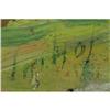 Image 3 : Joseph Imhof, Oil on Board