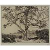 Image 1 : Walter Roland Locke, Etching