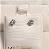 Image 1 : 14K WHITE GOLD DIAMOND(0.21CT,I3,F-G) EARRINGS