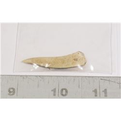 GENUINE LARGE FOSSIL FISH TOOTH