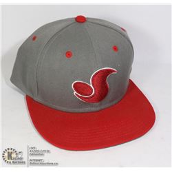 NEW DVS BALL CAP