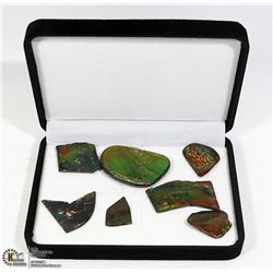 COLLECTION OF AMMOLITE STONE