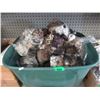 Image 1 : 6 New Teddy Bears