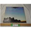 Image 1 : EAGLES RECORD (HAS SCRATCHES)