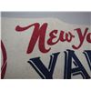 Image 4 : 1969 NEW YORK YANKEES PENNANT WITH PROTECTIVE PLASTIC CASE