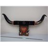 Image 1 : UNIQUE SET OF MOUNTED HORNS (36" SPREAD)