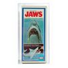 Image 2 : The Game of Jaws.