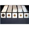 Image 2 : CANADA 1859-2008 A 532 Piece Lot of 2" x 2" Mounted VG-UNC One Cent in 9 Boxs