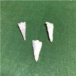 Neolithic Sahara Desert Arrowheads, Projectile Points