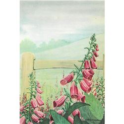 1920's Foxglove Color Lithograph Print