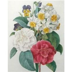 After Pierre-Jospeh Redoute, Floral Print, #13 Bouquet de Camelias, Narcisses et Pensees