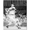 Image 1 : Ted Williams Baseball Metal Sign
