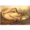 Image 1 : c1946 Audubon Print, #376 or #406 Trumpeter Swan