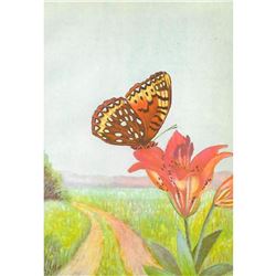 1920's Silver-Spot Fritillary Butterfly Color Lithograph Print