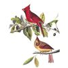 Image 1 : c1946 Audubon Print, #159 Cardinal