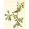 Image 1 : c1946 Audubon Print, #24 Maryland Yellow-Throat