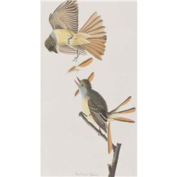 c1946 Audubon Print, #129 Crested Flycatcher