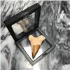 Image 3 : Prehistoric Megalodon Shark Tooth Display Fossil