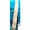 Image 3 : Large Specimen Petrified Wood Slab