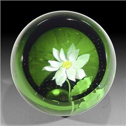Caithness Glass September - Daisy Paperweight