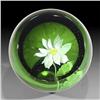 Image 1 : Caithness Glass September - Daisy Paperweight