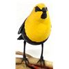 Image 2 : Hand Carved Yellowhead Blackbird by Marty Riley