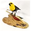 Image 3 : Hand Carved Yellowhead Blackbird by Marty Riley