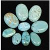 Image 3 : Collection of Dyed Howlite Turquoise Cabochons