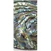 Image 2 : Vintage Sterling Abalone Pin