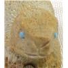 Image 2 : Zuni Travertine Prairie Dog Fetish by S. Banteah