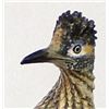 Image 2 : Composition Roadrunner Figurine