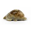 Image 1 : Zuni Picasso Marble Mole Fetish by Fred Weekoty