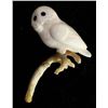 Image 1 : Zuni Carved Antler Owl Fetish by Ruben Najera