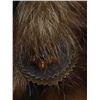 Image 3 : Native American Style Buffalo Warrior Spirit Mask