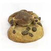 Image 1 : Tom McCain Composition Horned Toad Figurine
