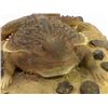 Image 2 : Tom McCain Composition Horned Toad Figurine